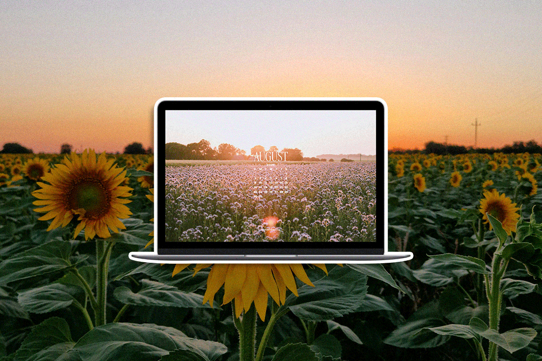 August 2026 Tech Backgrounds: Free, Downloadable Wallpapers!