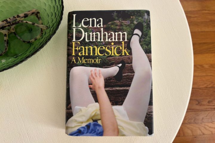5 Life Lessons I Learned From Lena Dunham’s Famesick