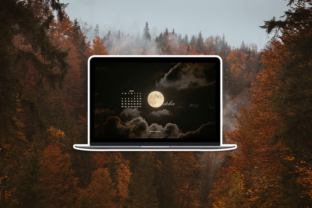 October 2026 Tech Backgrounds: Free, Downloadable Fall and Halloween Wallpapers!