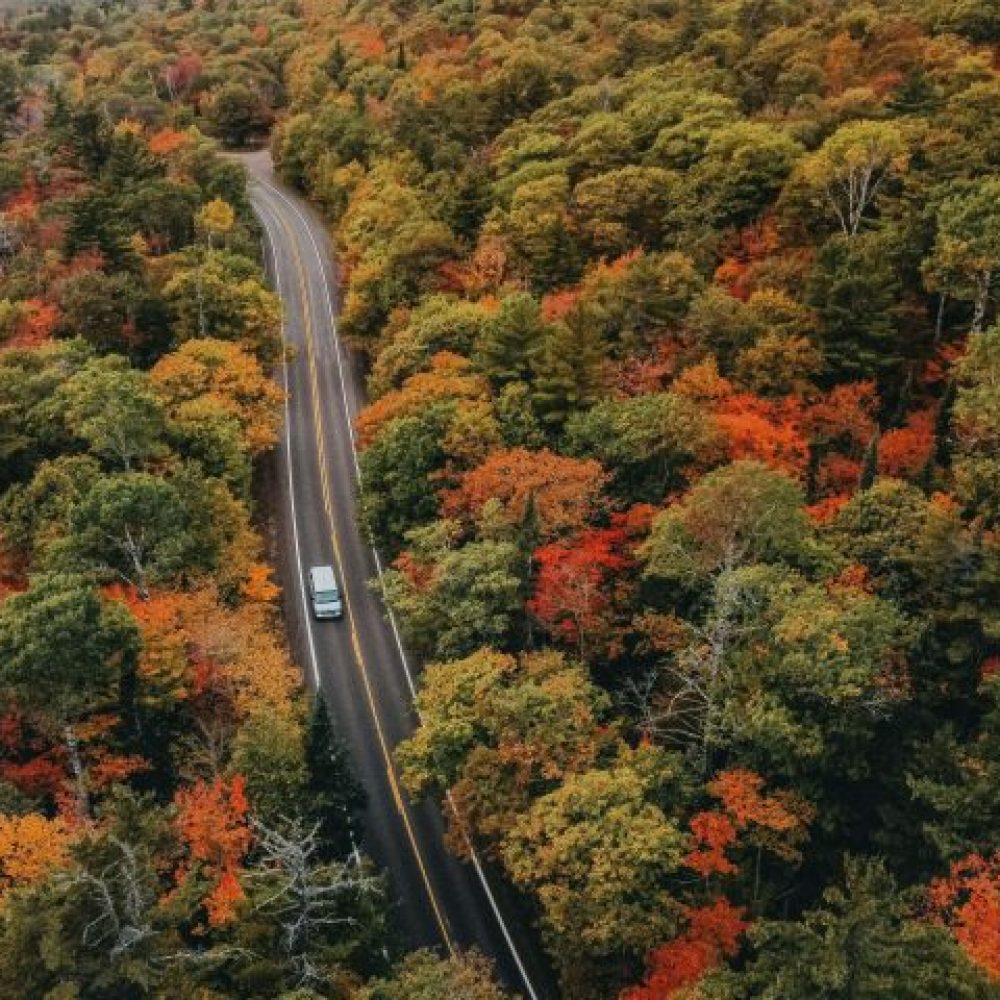 10-Road-Trip-Ideas-for-Seeing-Peak-Fall-Colors.jpg