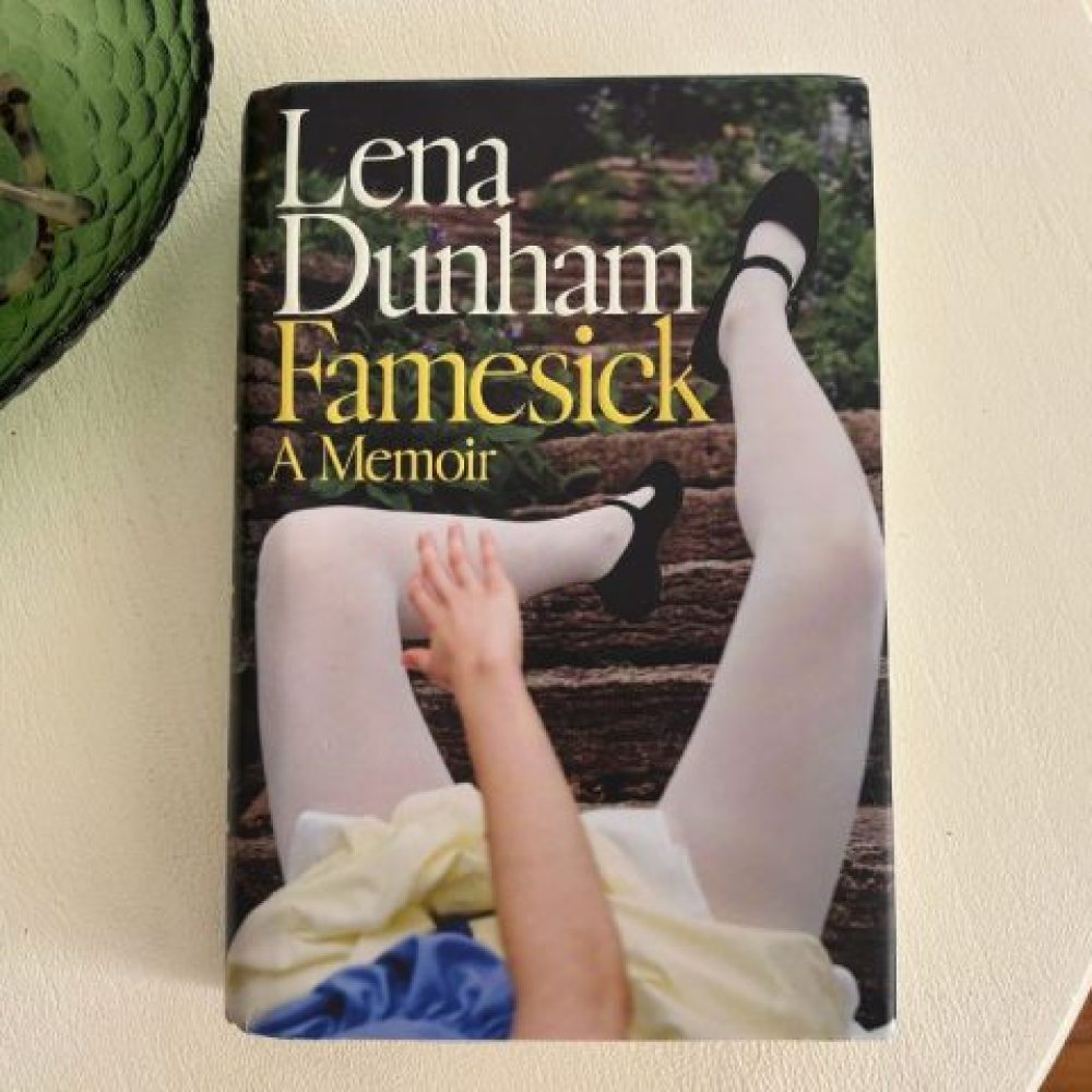 5-Life-Lessons-I-Learned-From-Lena-Dunhams-Famesick.jpg
