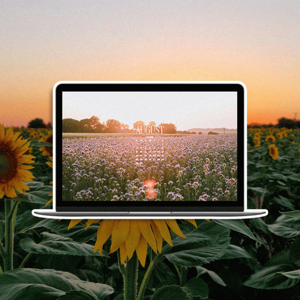 August-2026-Tech-Backgrounds-Free-Downloadable-Wallpapers.gif