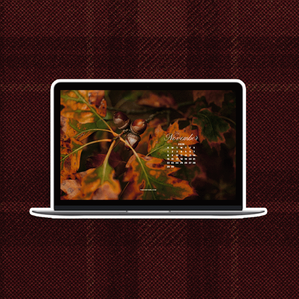 November-2026-Tech-Backgrounds-Free-Downloadable-Wallpapers.gif